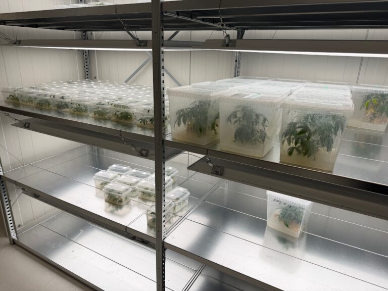 Aus dem Glas in die Halle: Wie der CSC Aachen mit In-vitro-Labor neue Standards setzt