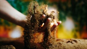 Kein Dünger, kein pH-Messen: So gelingt Living Soil Cannabis