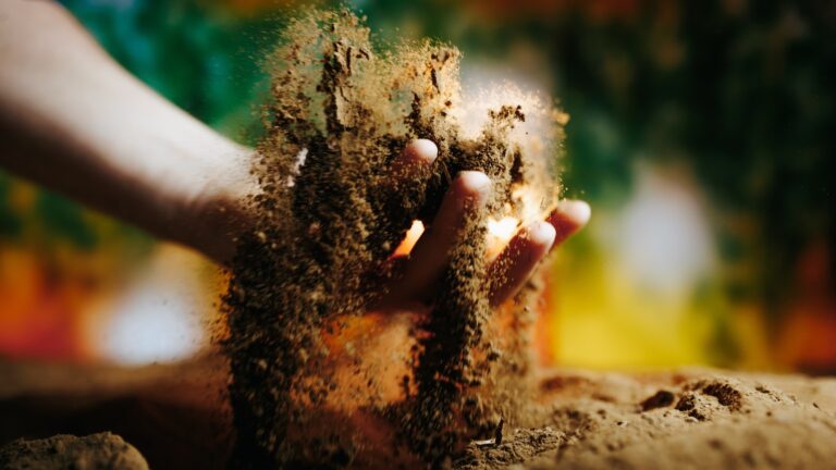 Kein Dünger, kein pH-Messen: So gelingt Living Soil Cannabis