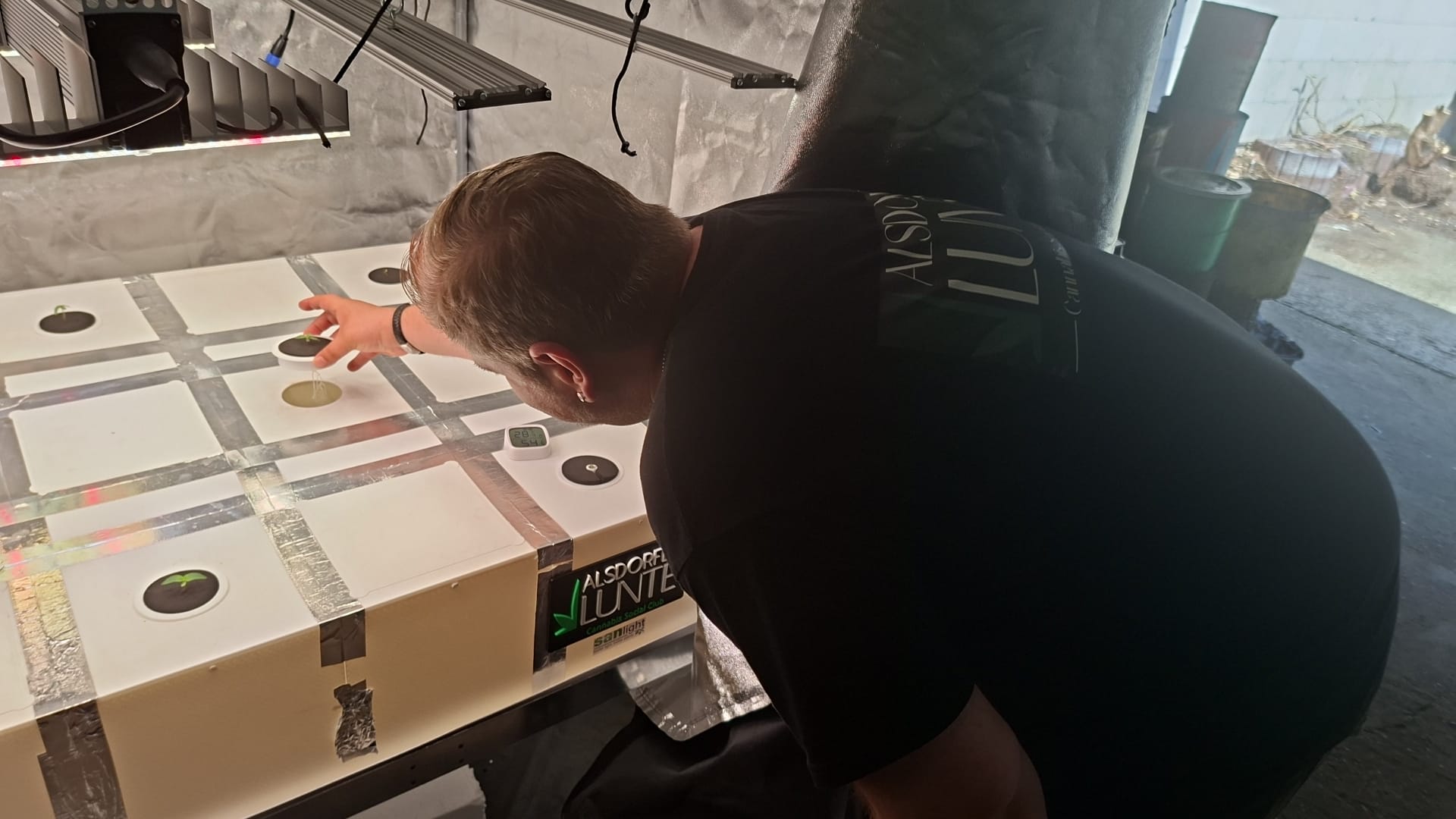 Aeroponik-Prototyp der Alsdorfer Lunte mit Setzlingen