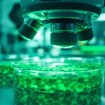 CBD in der Veterinäronkologie: Systematischer Review fasst sechs Krebsarten beim Hund zusammen