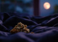 Cannabis-Blüten auf dunklem Bettlaken bei nächtlichem Mondlicht