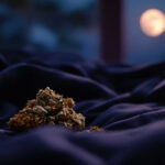 Die besten Cannabis-Sorten für einen erholsamen Schlaf