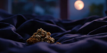 Cannabis-Blüten auf dunklem Bettlaken bei nächtlichem Mondlicht