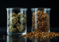 Cannabis und Tabak nebeneinander in klinischer Darstellung