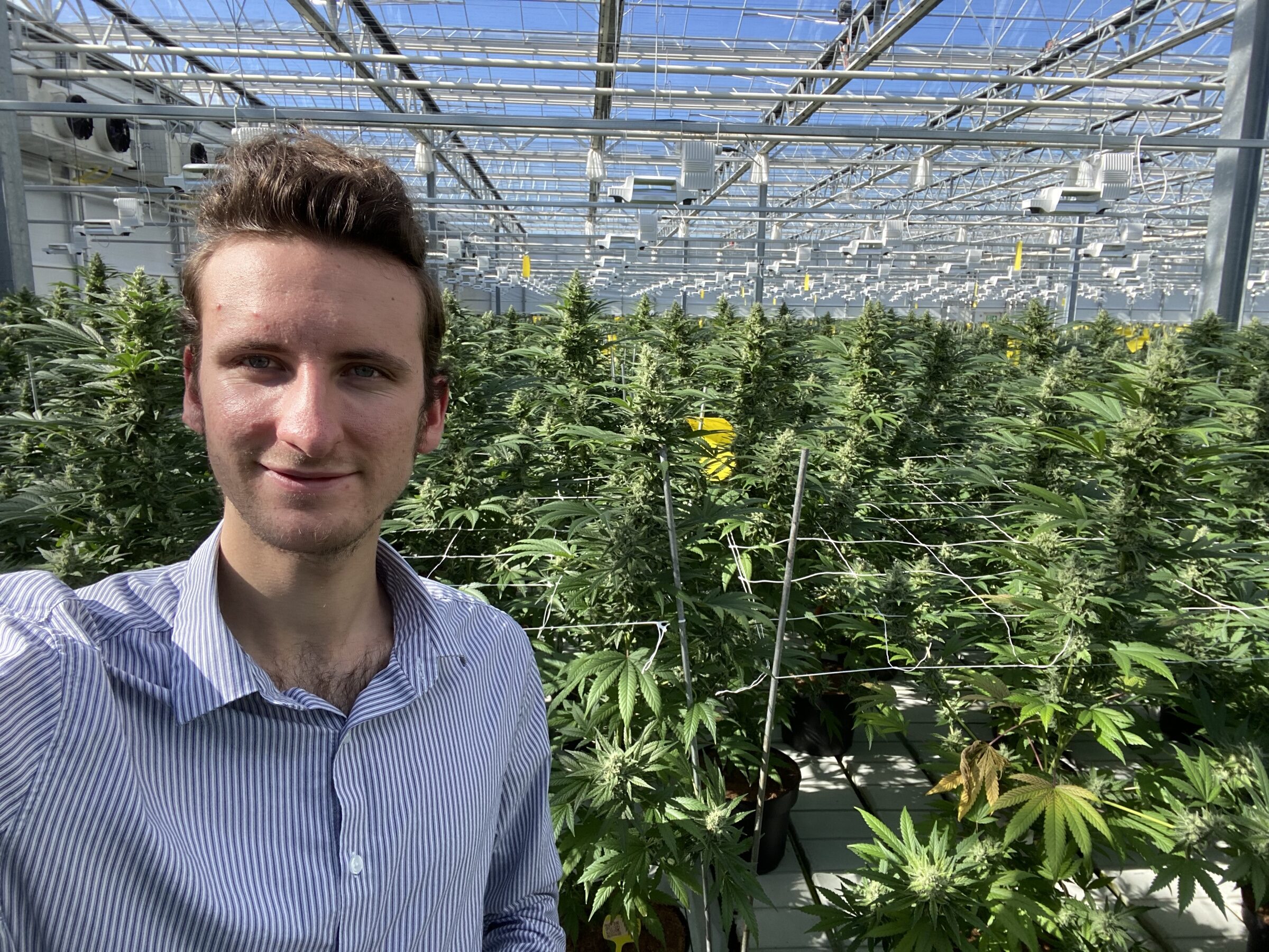 Lorenz Minks, Founder von Research-Gardens, in einem Cannabis-Anbau