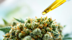 Neue wissenschaftliche Erkenntnisse zu Terpenen in der Schmerzmedizin