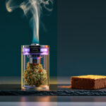 Cannabis essen oder rauchen? Bioverfügbarkeit und Wirkung im Vergleich