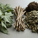 Cannabis Reststoffe verwerten: Blätter, Stängel und Wurzeln nutzen