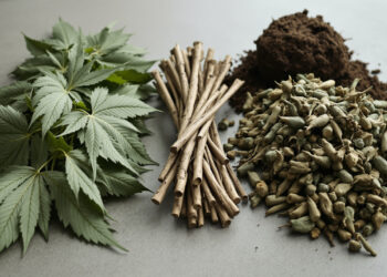 Sortierte Cannabis-Pflanzenreste nach der Ernte: Blätter, Verschnitt, Stängel und Wurzeln