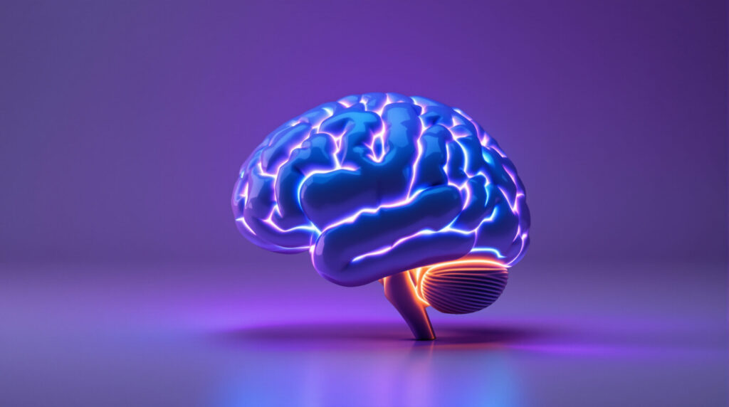 Beleuchtetes Gehirnmodell symbolisiert die Verbindung zwischen Cannabis und Psychosen