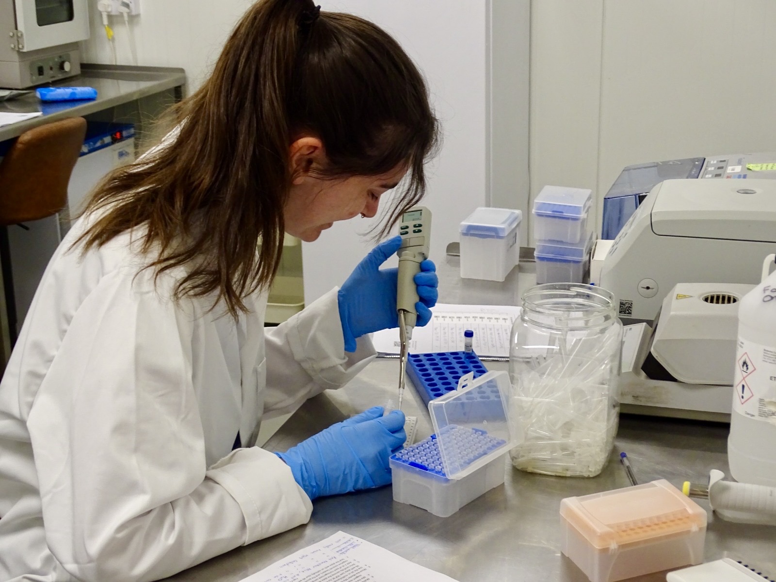Ciara Hayes, Tissue Culture Associate bei Northern Leaf