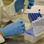 Jersey: 3R Biotech und Northern Leaf starten Europas erste Single-Site-Anlage für Cannabis-Pflanzengesundheit