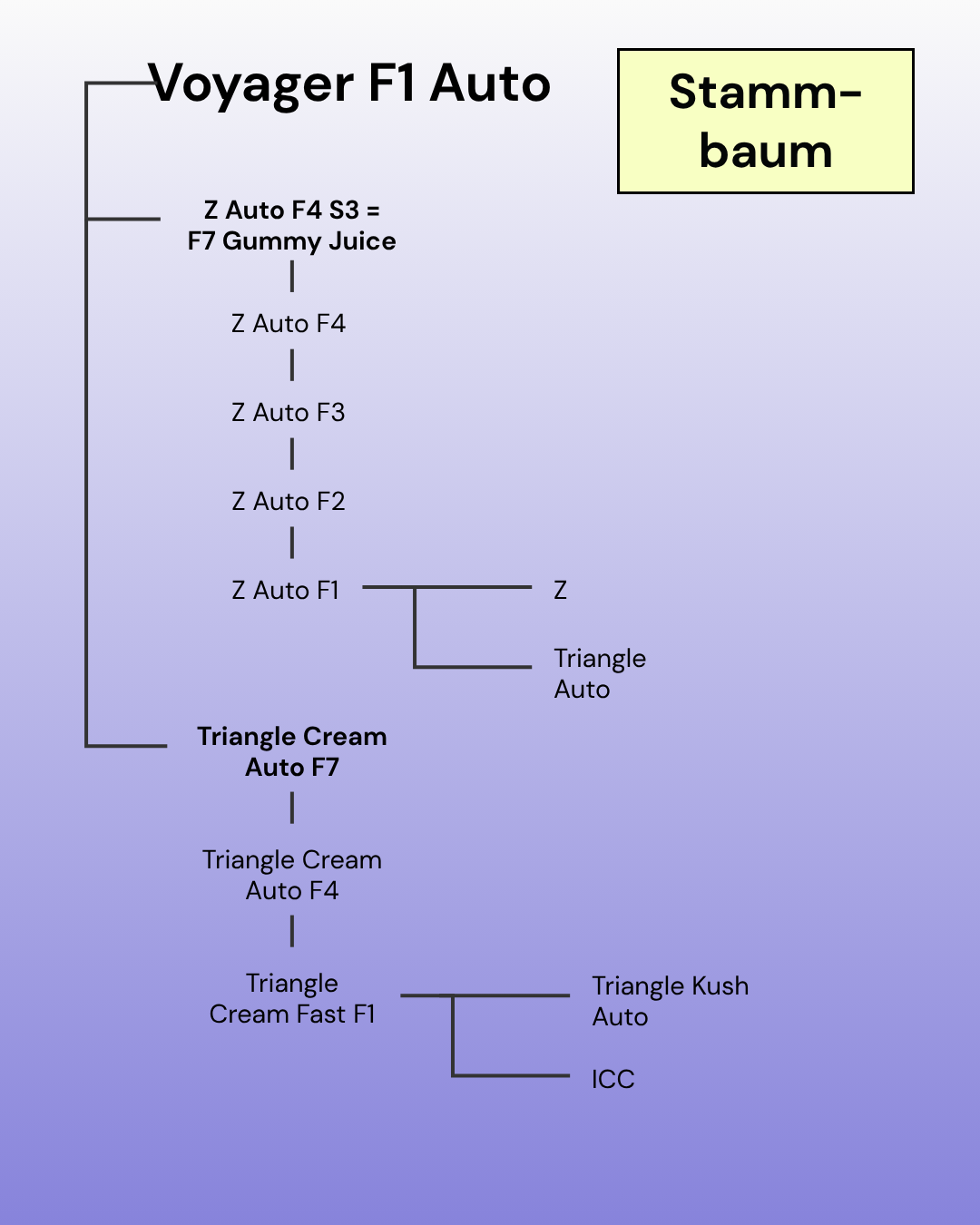 Stammbaum und Abstammung der Voyager F1 Auto