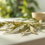EU-Grenzwerte für Hanfblättertee: 40 Milligramm THC je Kilogramm ab 2027