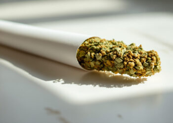 Pur gedrehter Cannabis-Joint auf heller Holzoberfläche ohne Tabakmischung
