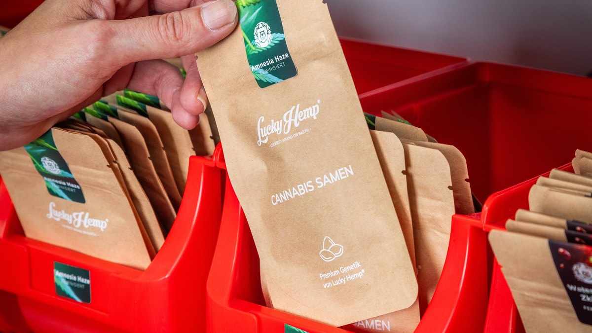 Verpackung mit Cannabissamen der Sorte Amnesia Haze von Lucky Hemp im Lagerregal