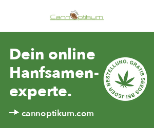 Cannoptikum 300×250 (sidebar-left 2)