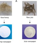 Nanopapier aus Hanf filtert Mikroplastik: Was der Laborversuch zeigt