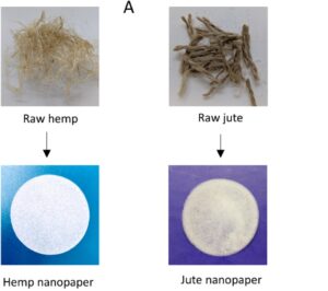 Nanopapier aus Hanf filtert Mikroplastik: Was der Laborversuch zeigt