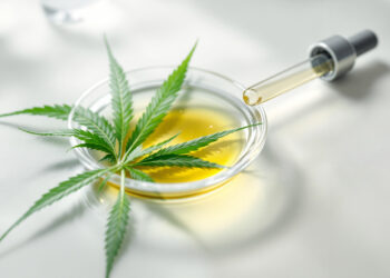 Glasschale mit Öl, Hanfblatt und Pipette auf hellem Labortisch