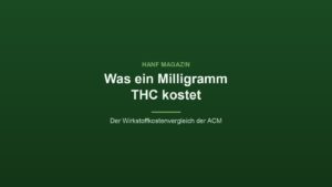 Was ein Milligramm THC kostet: Von zwölf Cent bis 1,40 Euro