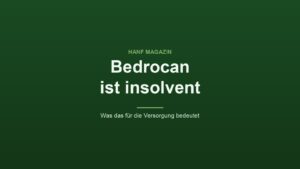 Bedrocan ist insolvent: Was das für die Versorgung mit Medizinalcannabis bedeutet