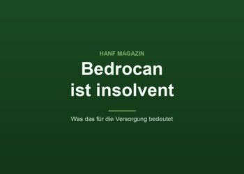 Grafik des Hanf Magazins mit dem Titel Bedrocan ist insolvent und dem Zusatz Was das für die Versorgung bedeutet