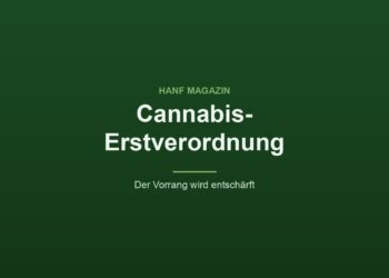 Grafik des Hanf Magazins mit dem Titel Cannabis-Erstverordnung und dem Zusatz Der Vorrang wird entschärft