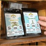 Keimstarke Cannabis Samen erkennen: Genetik, Lagerung und was eine Keimgarantie abdeckt