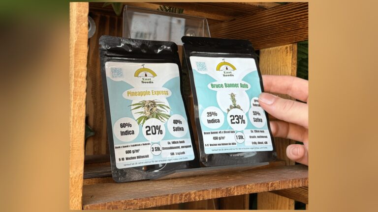 Keimstarke Cannabis Samen erkennen: Genetik, Lagerung und was eine Keimgarantie abdeckt