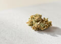 Getrocknete Cannabisblüten auf heller Steinoberfläche