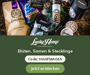 Lucky Hemp, 300×250 sidebar-links (Paket 10/2026)