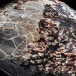 Mavericks Genetics: Kalifornische Genetik, triploide Sorten und was davon nachprüfbar ist