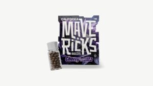 Cherry Runtz von Mavericks Genetics: Sortenprofil, Terpene und was die Zahlen hergeben
