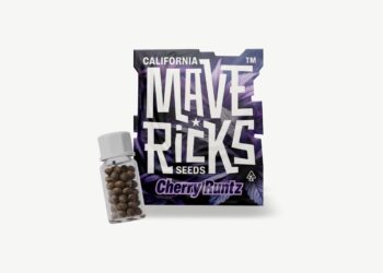 Verpackung der Sorte Cherry Runtz von Mavericks Genetics neben einem Glasfläschchen mit Cannabissamen