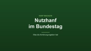 Nutzhanf-Anhörung im Bundestag: Das Risikobewertungsinstitut bremst
