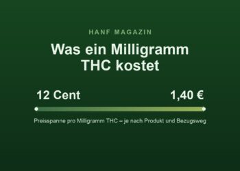 Grafik: Preisspanne pro Milligramm THC von 12 Cent bis 1,40 Euro (Hanf Magazin)